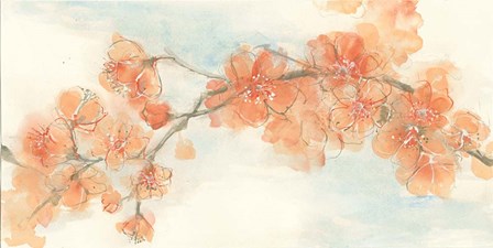 Peach Blossom II by Chris Paschke art print