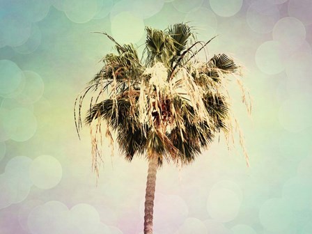 Palm Trees III by Sylvia Coomes art print