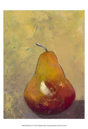Bold Fruit VI by Mehmet Altug art print