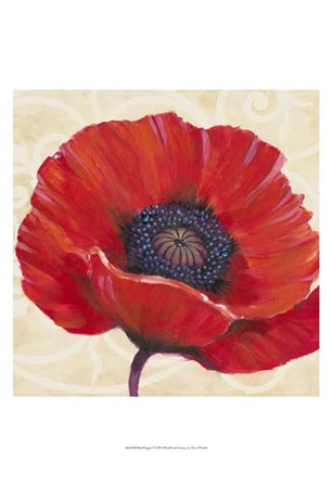 Red Poppy I by Timothy O&#39;Toole art print