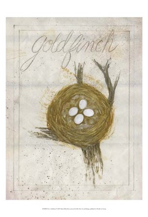 Nest - Goldfinch by Elissa Della-Piana art print