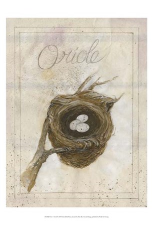 Nest - Oriole by Elissa Della-Piana art print
