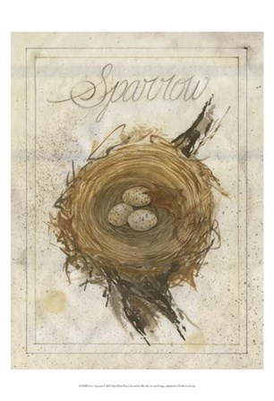 Nest - Sparrow by Elissa Della-Piana art print