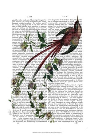 Passion Flower Bird by Fab Funky art print