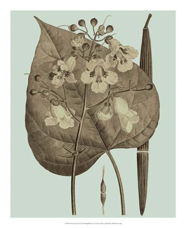 Flowering Trees II by Vision Studio art print