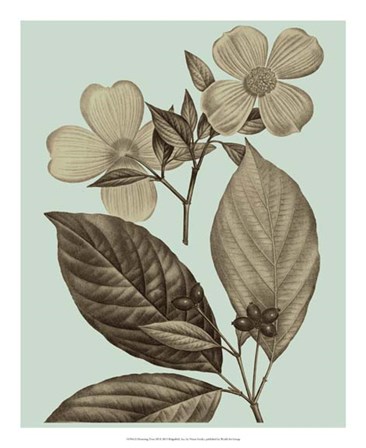 Flowering Trees III by Vision Studio art print