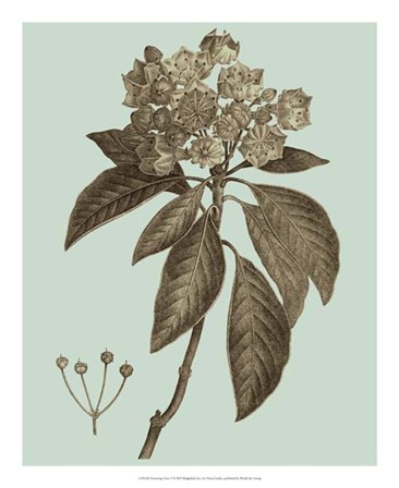 Flowering Trees V by Vision Studio art print