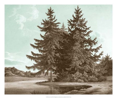 Serene Trees III by Edward Kennion art print
