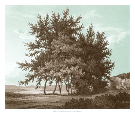 Serene Trees IV by Edward Kennion art print