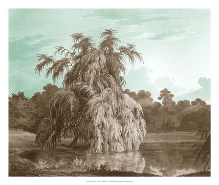 Serene Trees V by Edward Kennion art print