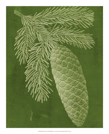 Modern Pine IV by Vision Studio art print