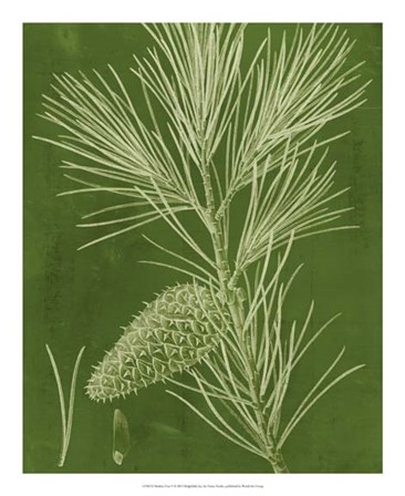 Modern Pine V by Vision Studio art print