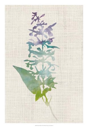 Watercolor Plants I by Naomi McCavitt art print