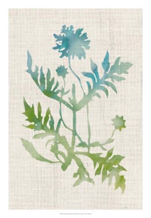 Watercolor Plants III by Naomi McCavitt art print
