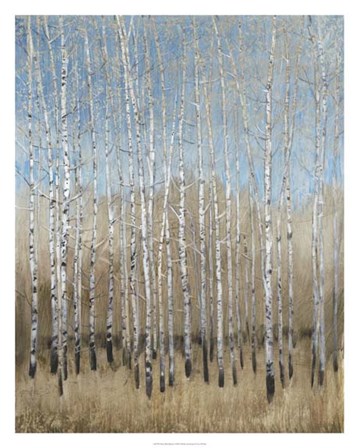 Dusty Blue Birches I by Timothy O&#39;Toole art print