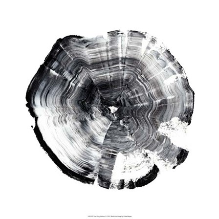 Tree Ring Abstract I by Ethan Harper art print