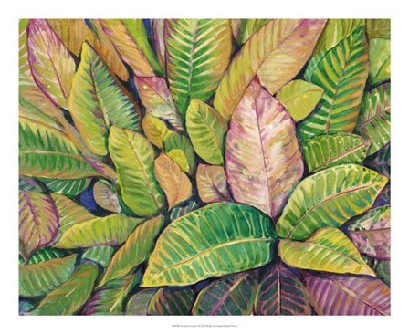 Tropical Close Up I by Timothy O&#39;Toole art print