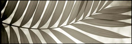 Florison 98 by Alan Blaustein art print