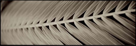 Florison 99 by Alan Blaustein art print