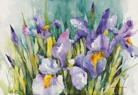 Purple Irises by Annelein Beukenkamp art print