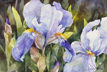 Purple Iris Closeup by Annelein Beukenkamp art print
