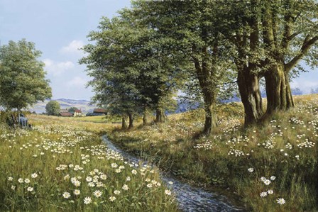 Beeches And Daisies by Bill Makinson art print