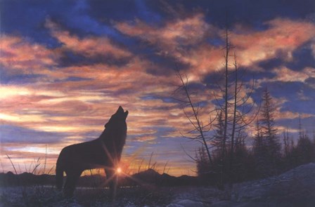 Sky Wolf by Bill Makinson art print