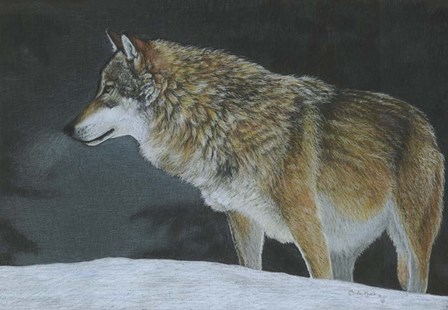 A Cold Winters Night by Carla Kurt art print