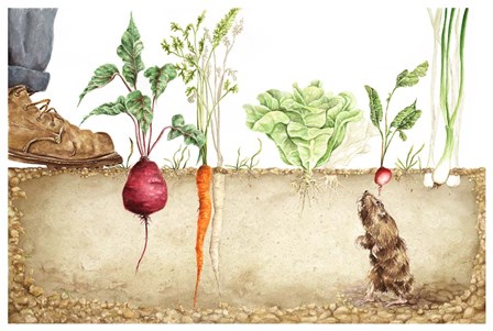 A Secret Life by Charlsie Kelly art print