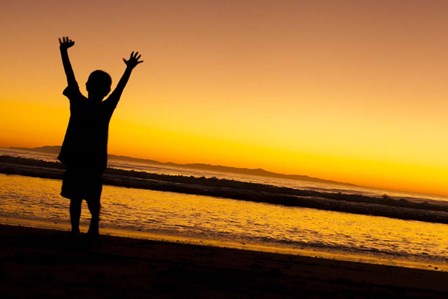 Sunset Joy by Chris Moyer art print