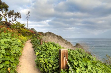 La Jolla Walk by Chris Moyer art print
