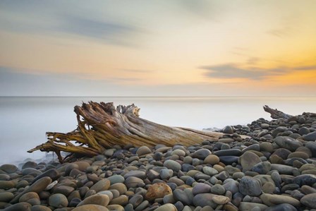 Covered by Chris Moyer art print