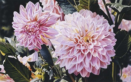 Dahlias by Joel Ogard art print