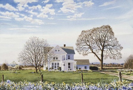 Beyond The Fenceline by Joel Ogard art print