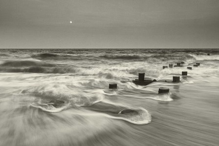 Pelican Chorus by Geoffrey Ansel Agrons art print