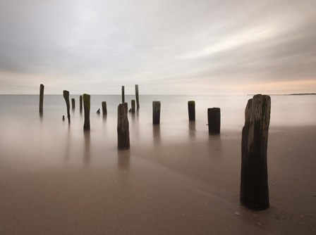 Beyond Measure by Geoffrey Ansel Agrons art print