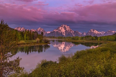 Magenta Sunrise  Oxbow Bend by Galloimages Online art print