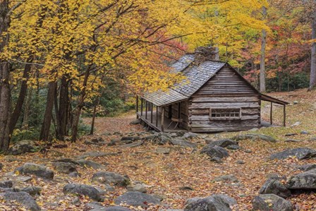 Bud Ogle Cabin by Galloimages Online art print
