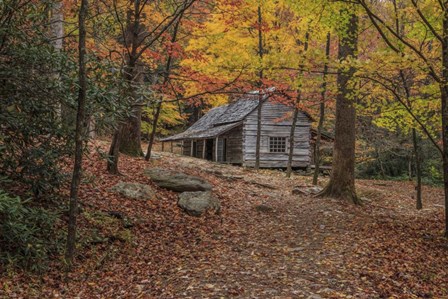 Bud Ogle Place -Composition 2 by Galloimages Online art print