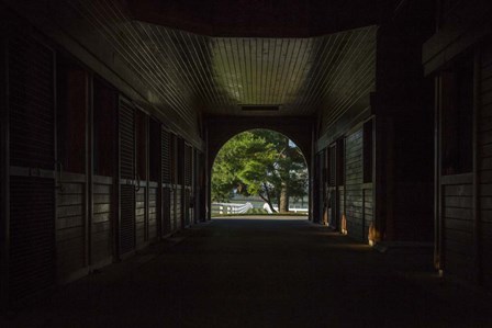 Horse Farm Barn (Inside And Out) by Galloimages Online art print
