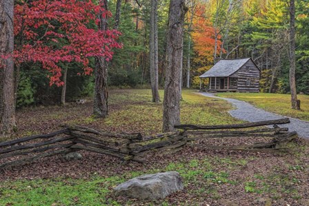 Smokies Cs Cabin by Galloimages Online art print