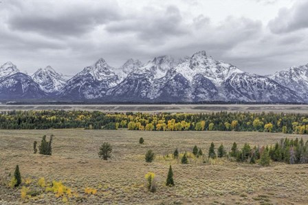 Teton Fall Colors by Galloimages Online art print