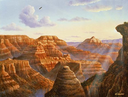Grand Canyon by Eduardo Camoes art print