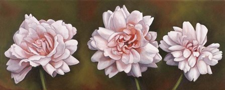 Summer Blossoms 5 by Debra Lake art print