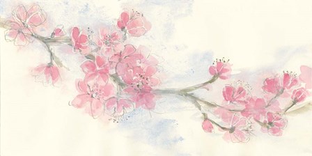 Cherry Blossom II by Chris Paschke art print