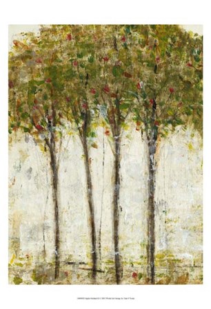 Apple Orchard II by Timothy O&#39;Toole art print