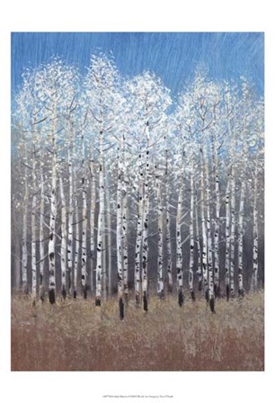 Cobalt Birches I by Timothy O&#39;Toole art print