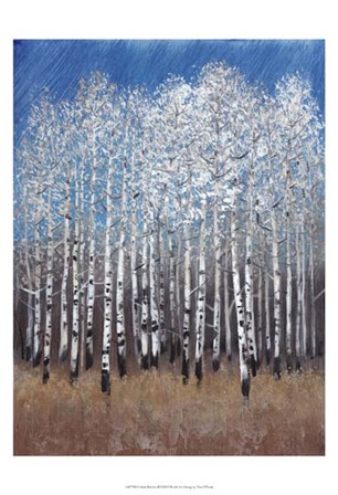 Cobalt Birches II by Timothy O&#39;Toole art print