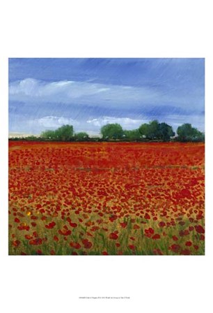Field of Poppies II by Timothy O&#39;Toole art print