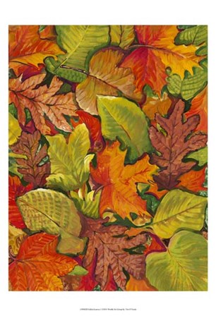 Fallen Leaves I by Timothy O&#39;Toole art print